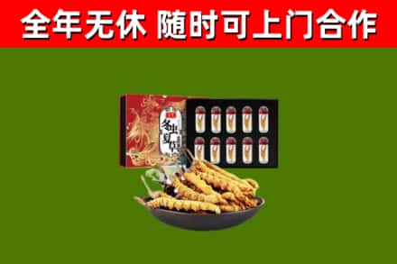高唐回收冬虫夏草价格